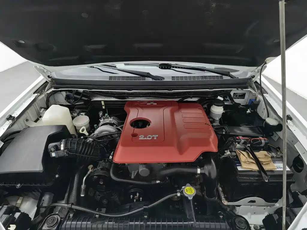 Фото 6 - Landwind X8
