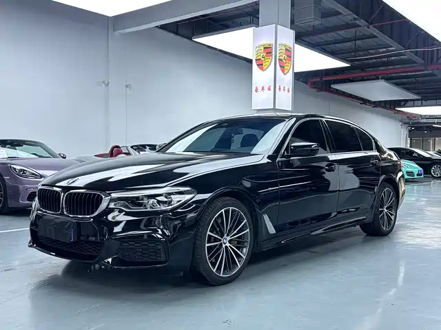 BMW 5 SERIES