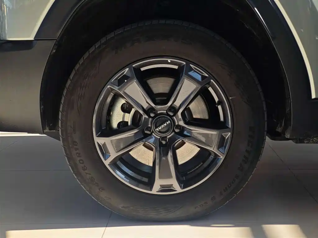 HAVAL RAPTORS NEW ENERGY