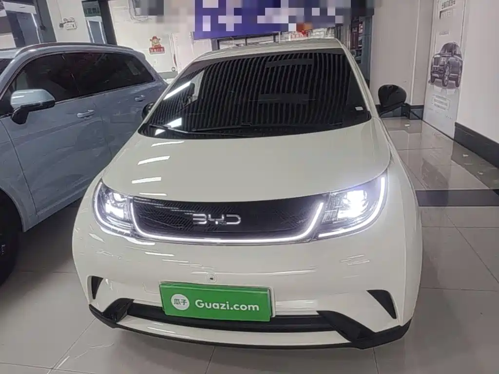 2026 BYD Dolphin