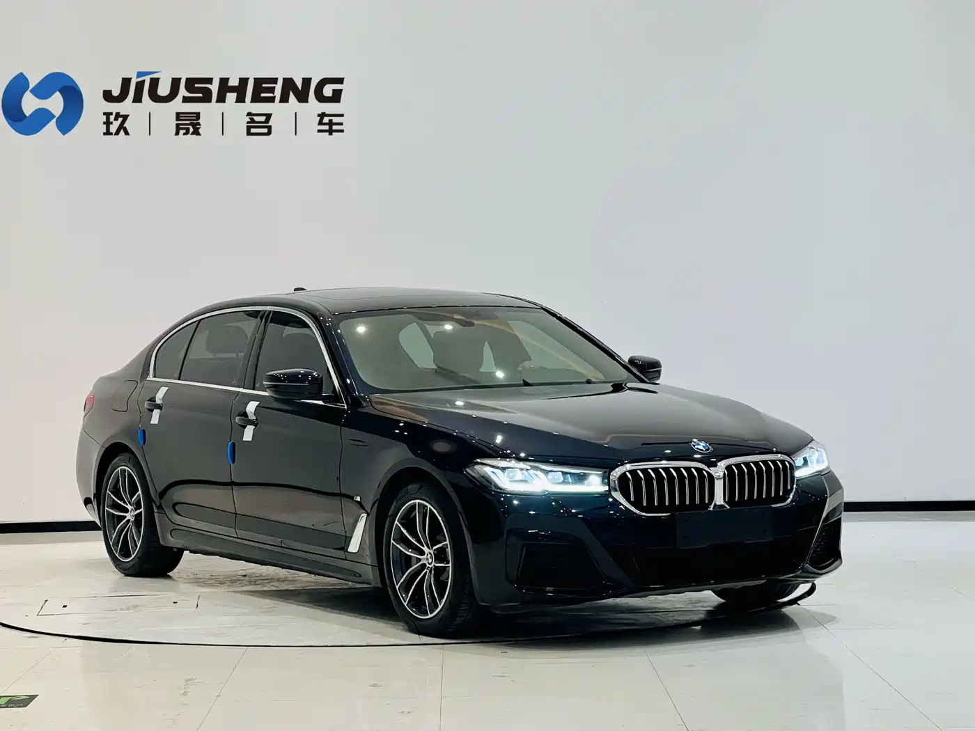 BMW 5 SERIES NEW ENERGY