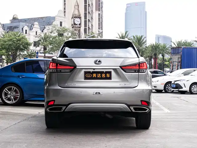 Lexus RX 2020 Facelift 300 AWD Elegance Edition — фото 5