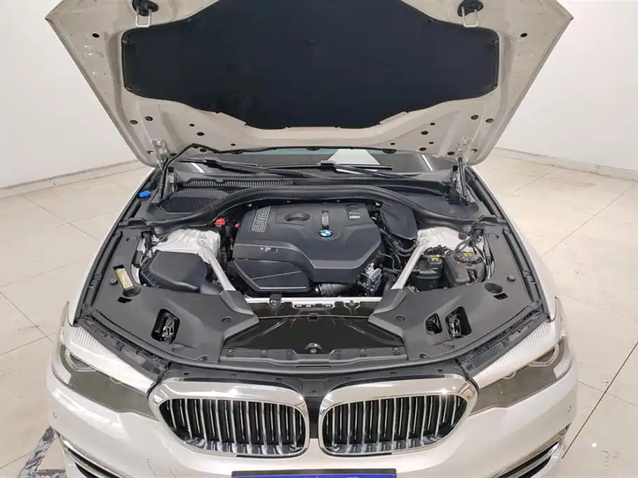 BMW 5 Series 2018 Facelift 530Li Leading Luxury Package фото 10
