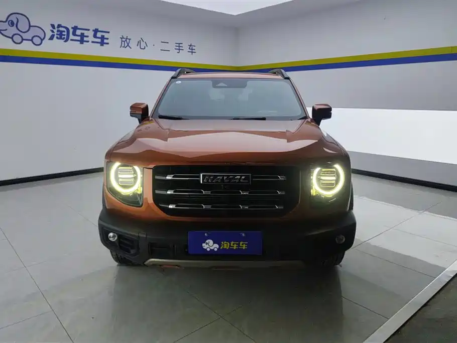 Haval Big Dog 2021 1.5T DCT 2WD Border Collie Edition фото 2