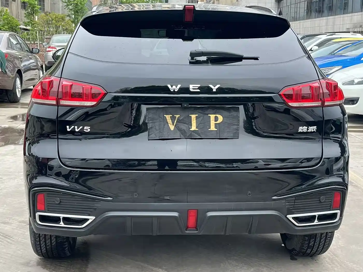 WEI PAI WEI BRAND VV5