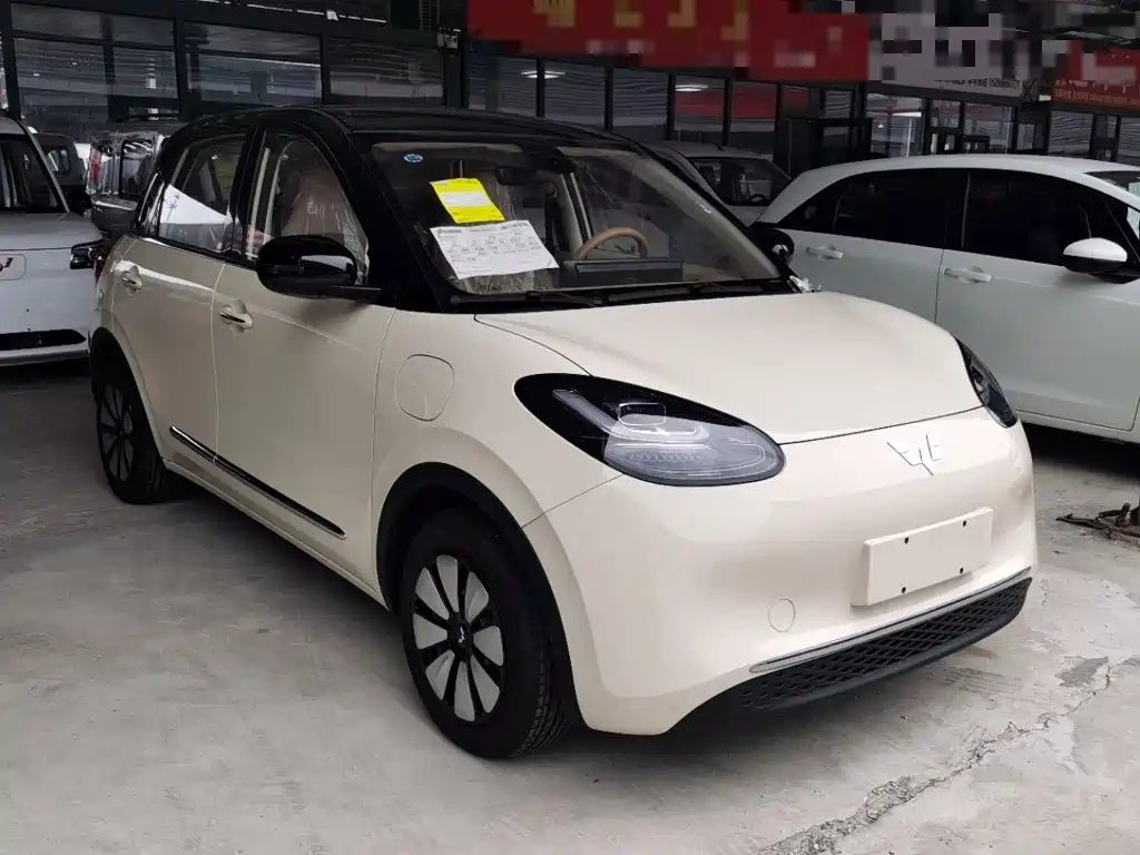 Wuling Motors Wuling Bingo 2026 2025 Model 333km Joy Edition