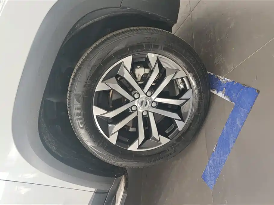 Haval Big Dog 2021 1.5T DCT 2WD Border Collie Edition фото 6