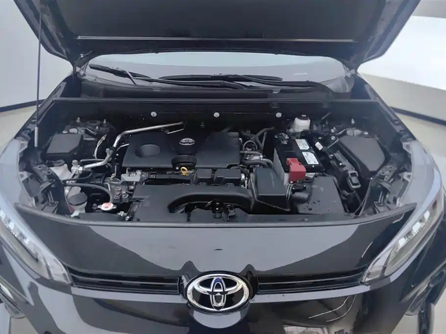 Toyota Wildlander 2023 2.0L CVT FWD LE фото 10
