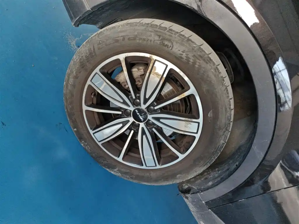 Haval H6 2023 National Trend Edition 1.5T Automatic Champion фото 23