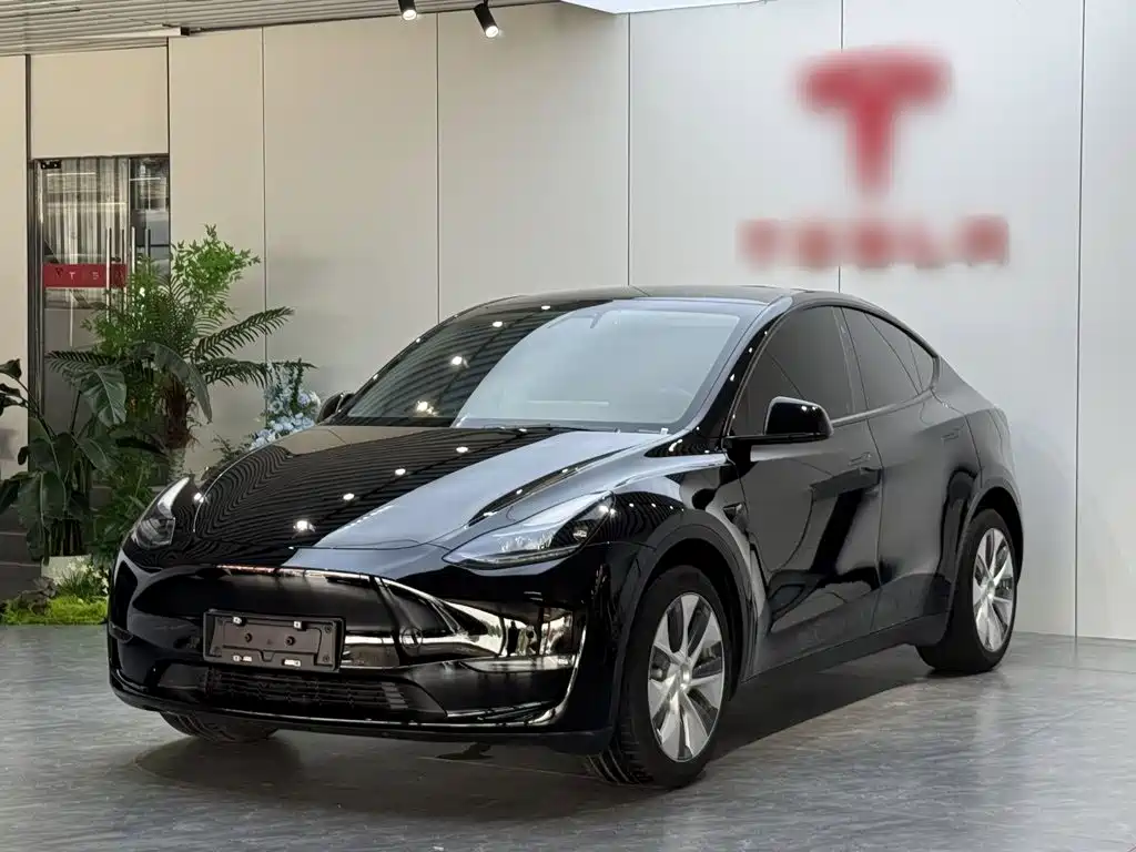Фото 1 - Tesla Model Y