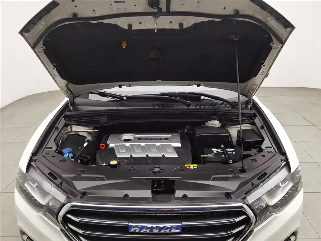 Haval H6 Coupe 2015 Model Blue Label 2.0T Manual 2WD Elite фото 6