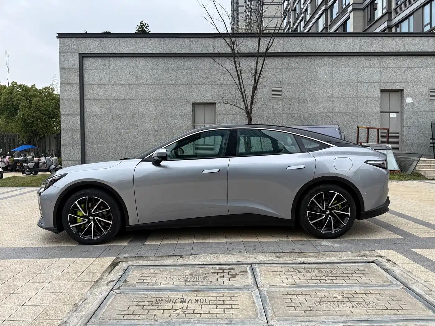 ARCFOX EXTREME FOX POLAR FOX ALPHA S5