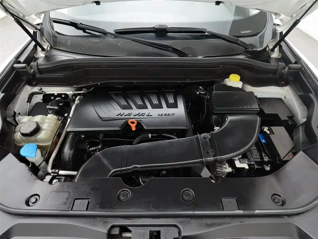 Haval H6 2020 1.5GDIT Automatic Platinum Champion Edition фото 6