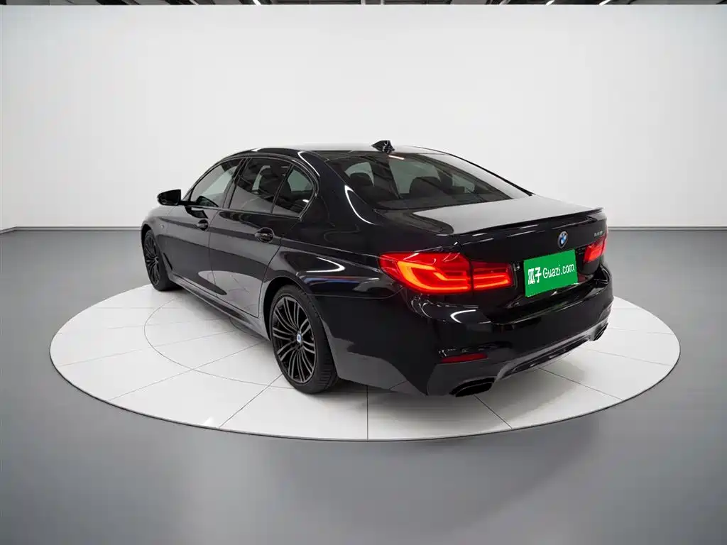 BMW 5 Series 2019 530Li Leading M Sport Package фото 5