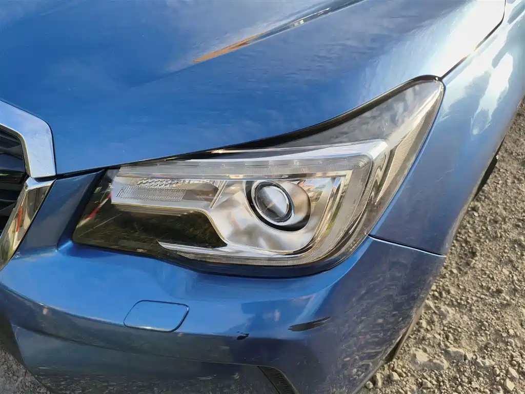 Subaru Forester 2018 2.5i Premium Navigation Edition EyeSight фото 18