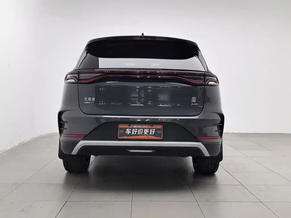 صورة 4 - BYD Tang New Energy
