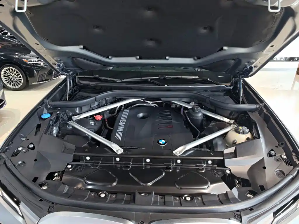 BMW X7, миниатюра 9