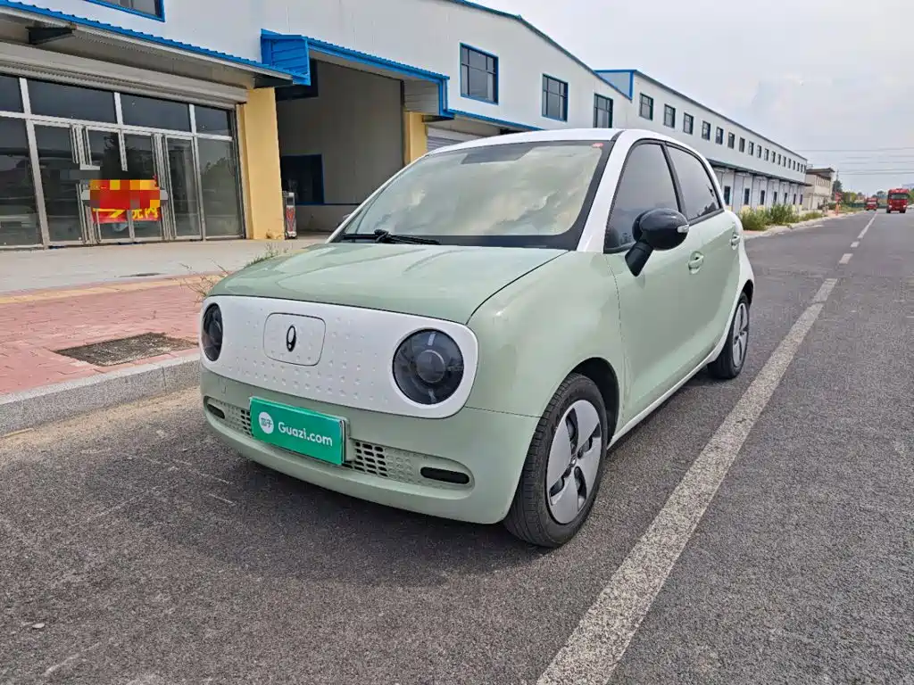 Ora Black Cat 2022 2022 Facelift 301km Pet Edition LFP Version