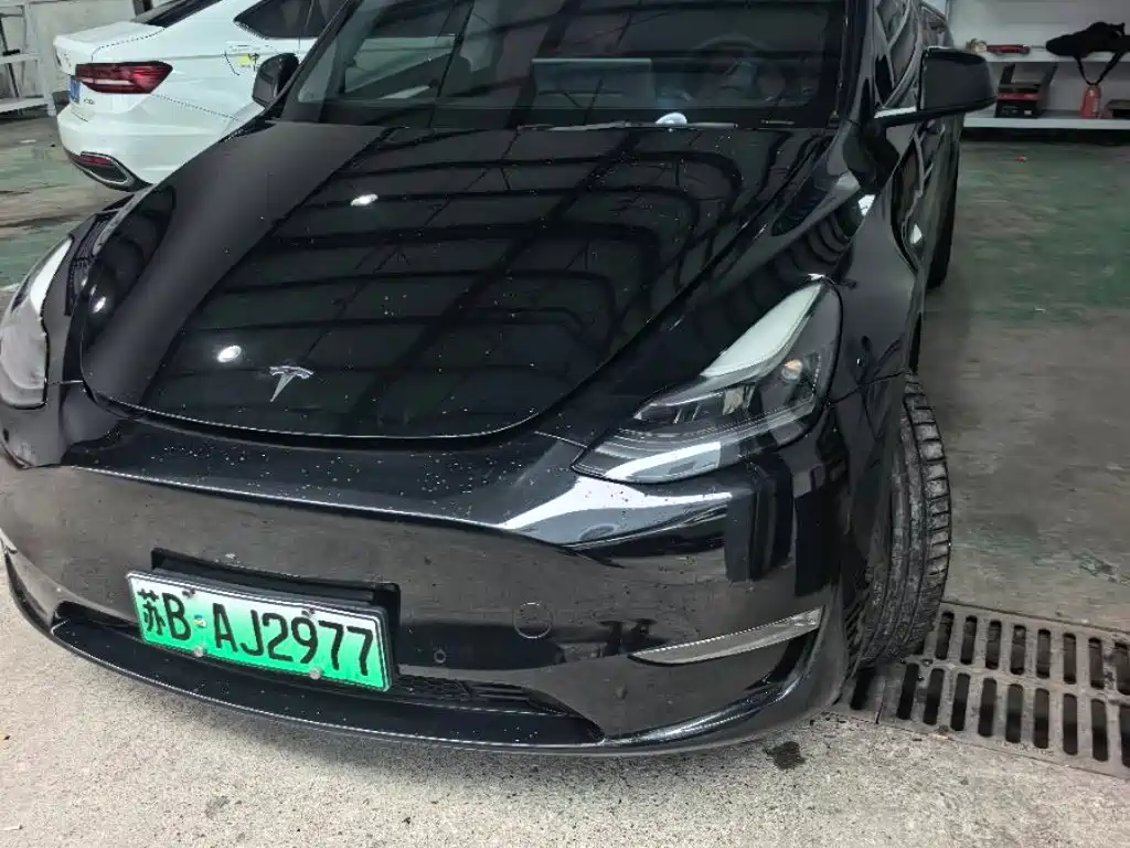 Tesla Model Y 2021 2021 Long Range All-Wheel Drive 3D7