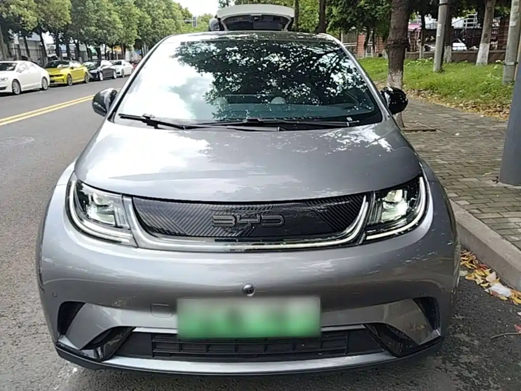 Фото 3 - BYD Dolphin