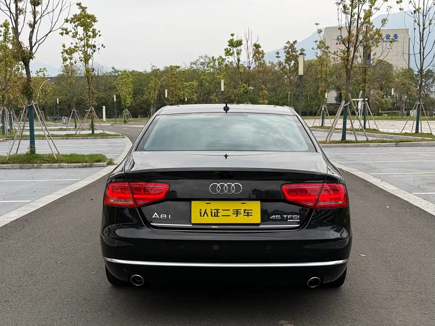Audi A8 2013 A8L 45 TFSI quattro Luxury фото 6