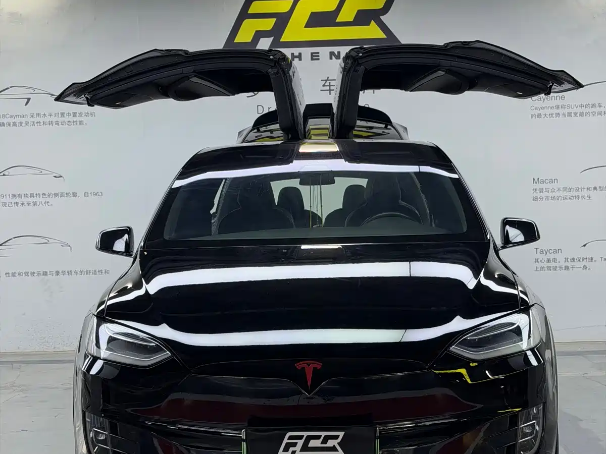 TESLA MODEL X