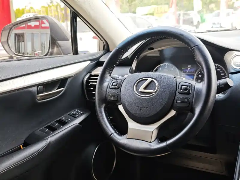 Фото 22 - Lexus NX