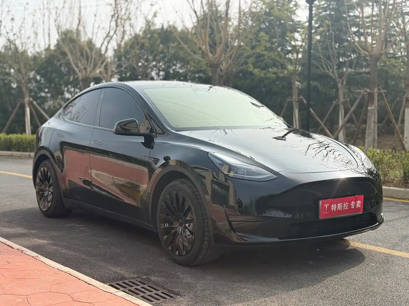 TESLA MODEL Y