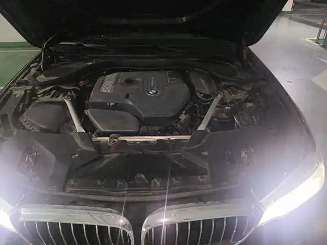 BMW 5 Series 2020 530Li Leading Luxury Package — фото 3