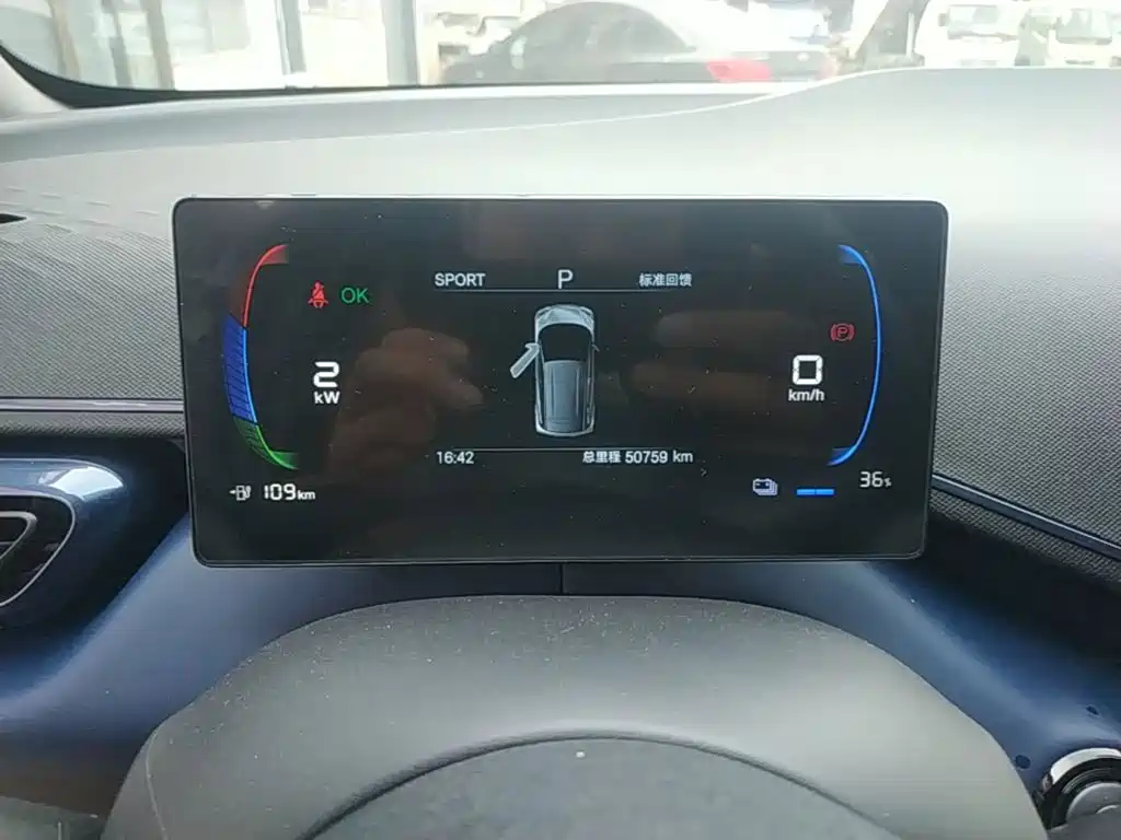 صورة 12 - BYD Seagull