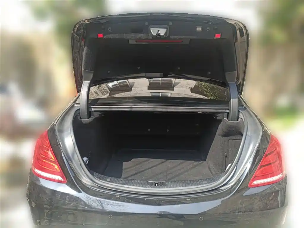 Mercedes-Benz S-Class 2014 S 320 L Luxury фото 10