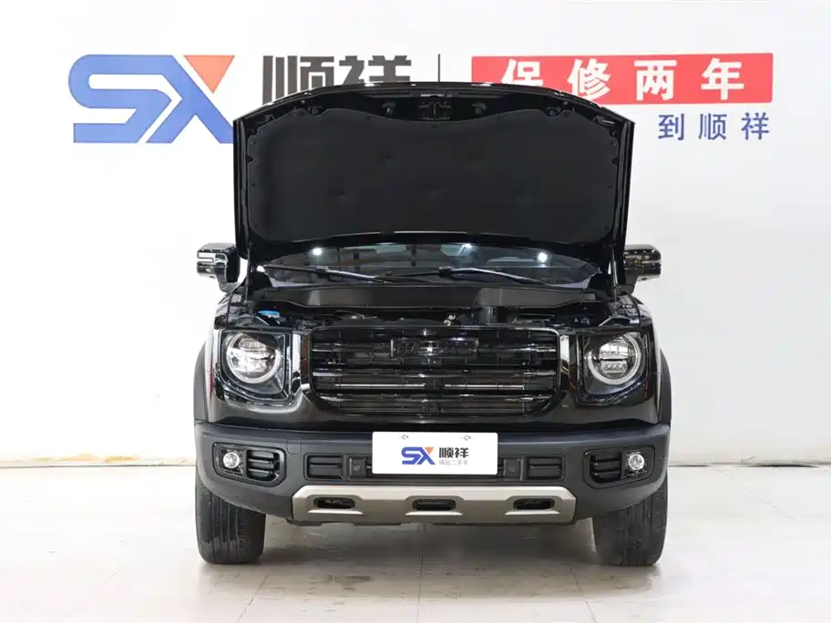 HAVAL BIG DOG