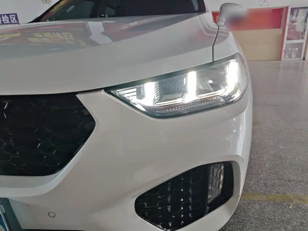 WEY VV5 2017 2017 2.0T Super Luxury Model