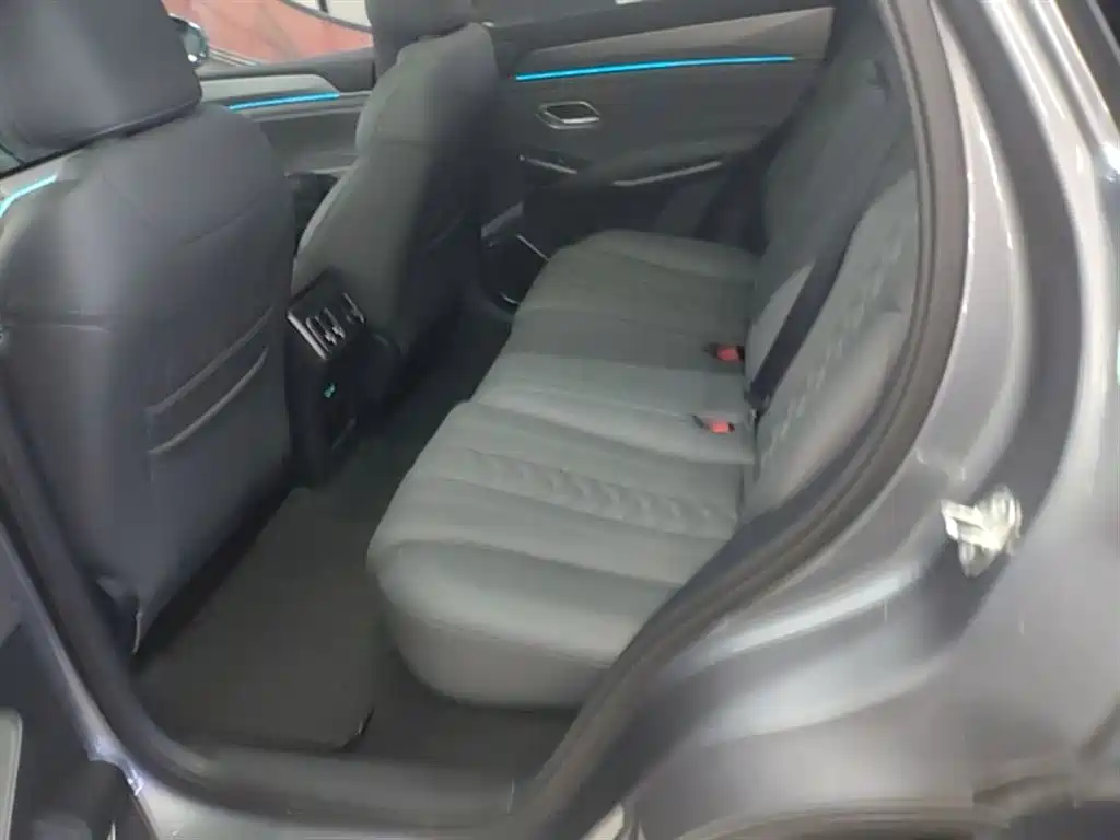 BYD Song L DM-i 2025 Smart Drive 160km Premium фото 17