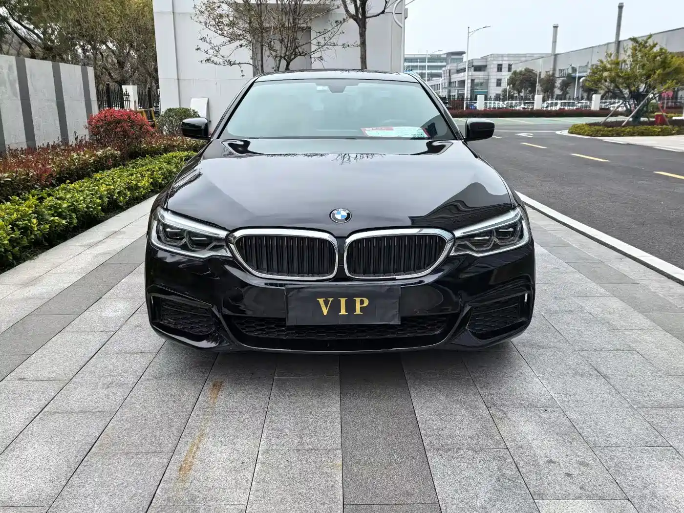 BMW 5 Series 2020 530Li Leading M Sport Package фото 2