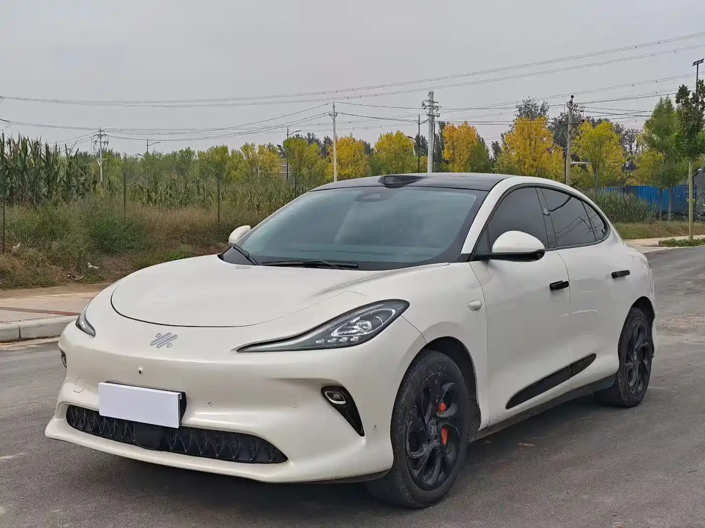 ZHIJI AUTOMOBILE ZHIJI LS6