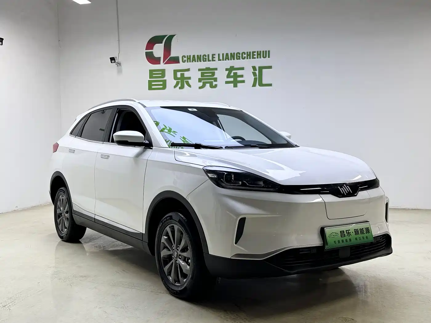 Weltmeister WEIMA EX5