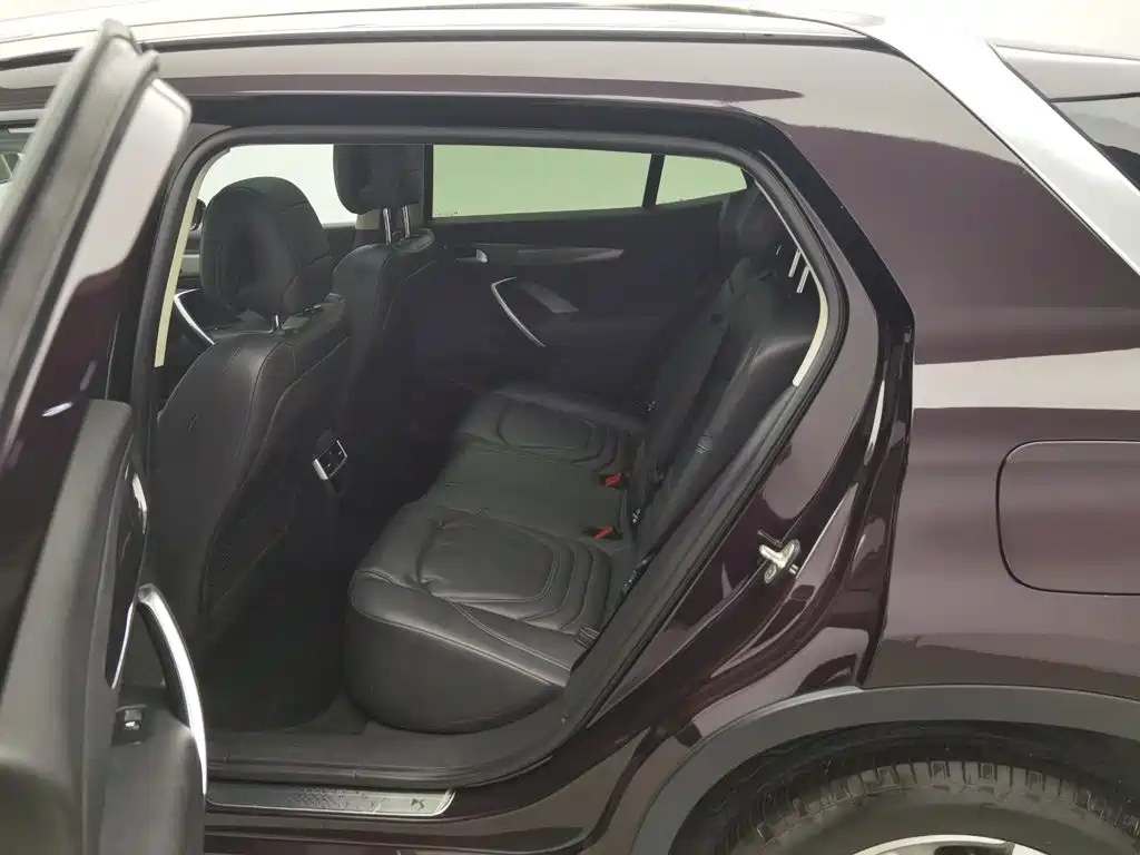 DS 6 2017 2016 1.6T Luxury THP160
