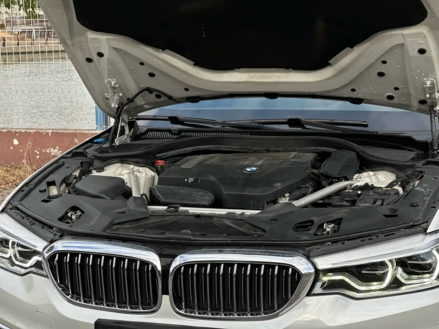 BMW 5 Series 2020 530Li Leading Luxury Package фото 32