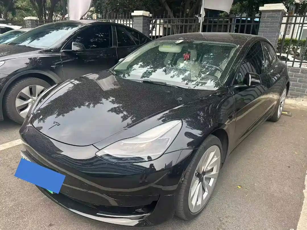 Tesla Model 3 2021 Standard Range Rear-Wheel Drive Upgrade