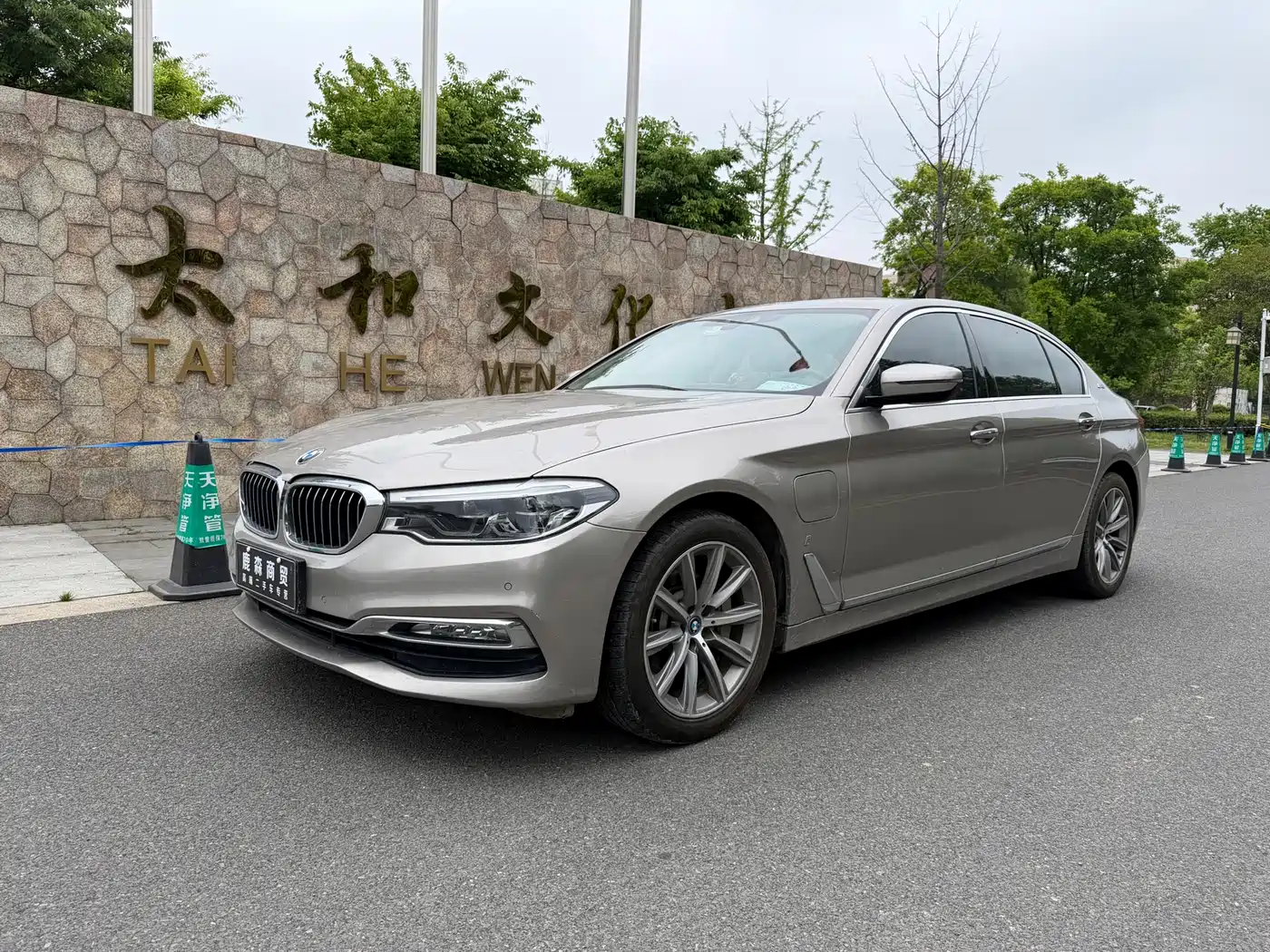 BMW 5 Series New Energy 2019 530Le Luxury Package