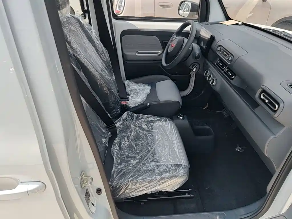 Wuling Motors Wuling Zhiguang NEV 2026 2025 Model 305km Base Version