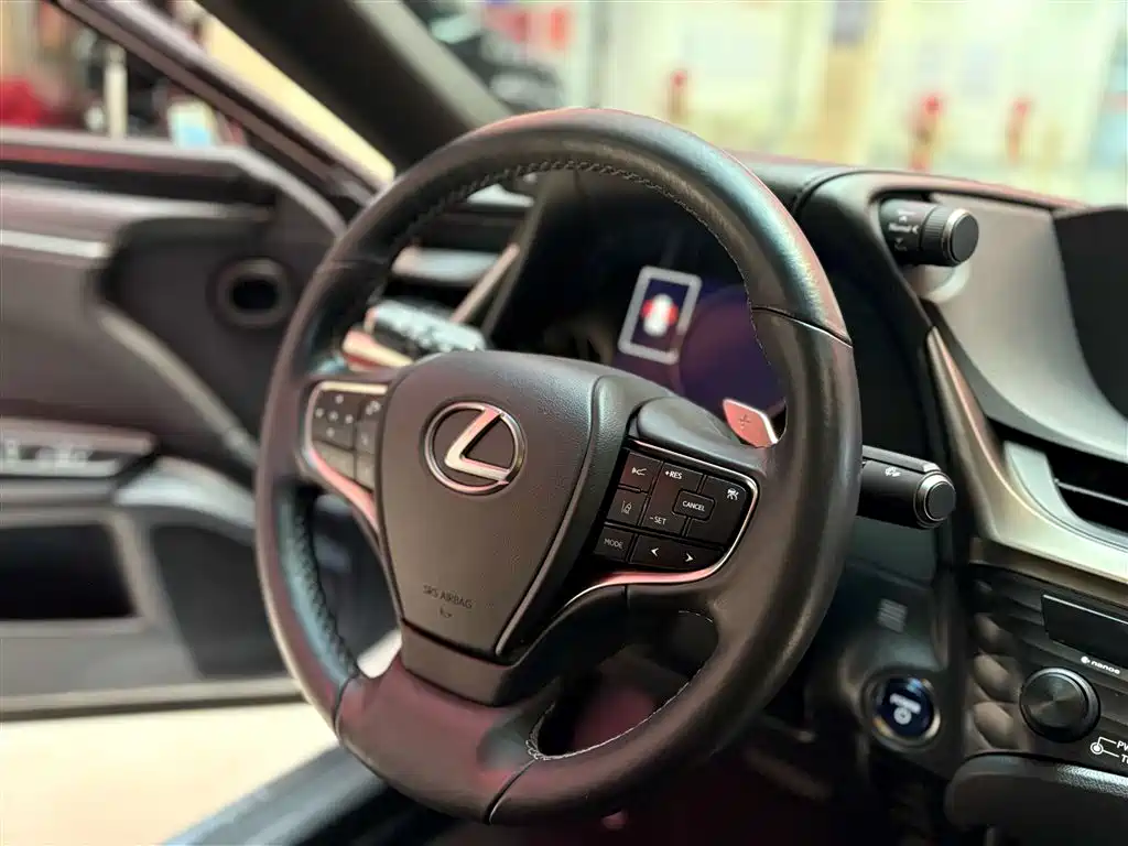 Lexus ES 2018 300h Excellence Edition China VI фото 8