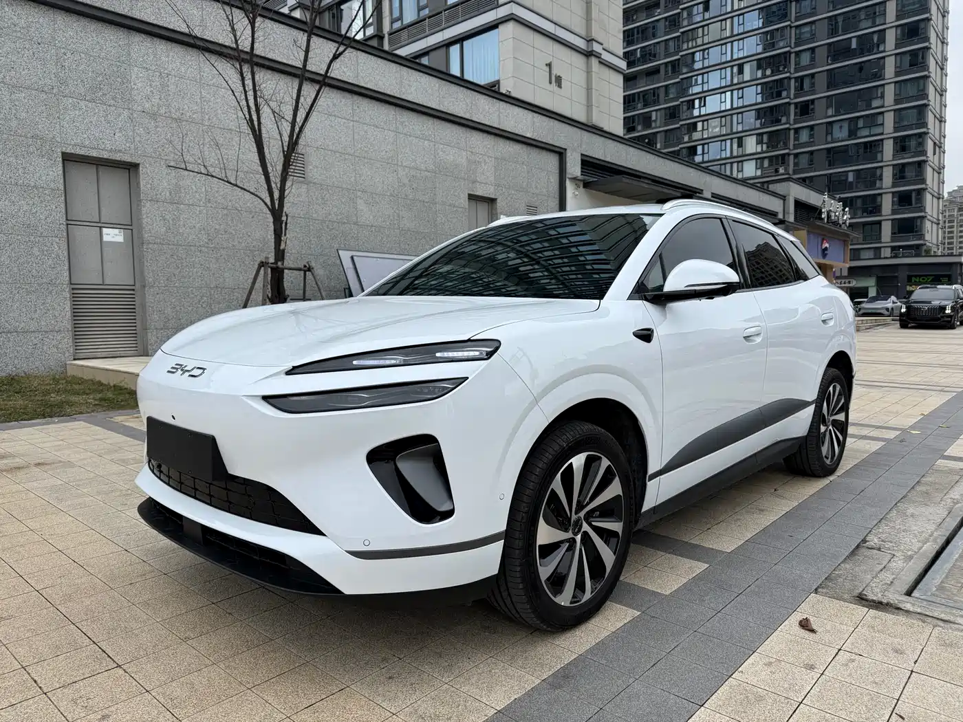 BYD SEA LION 06 NEW ENERGY