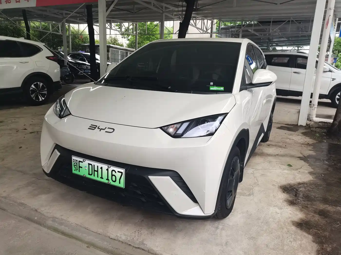 BYD Seagull 2024 Glory Edition 305km Vitality Edition
