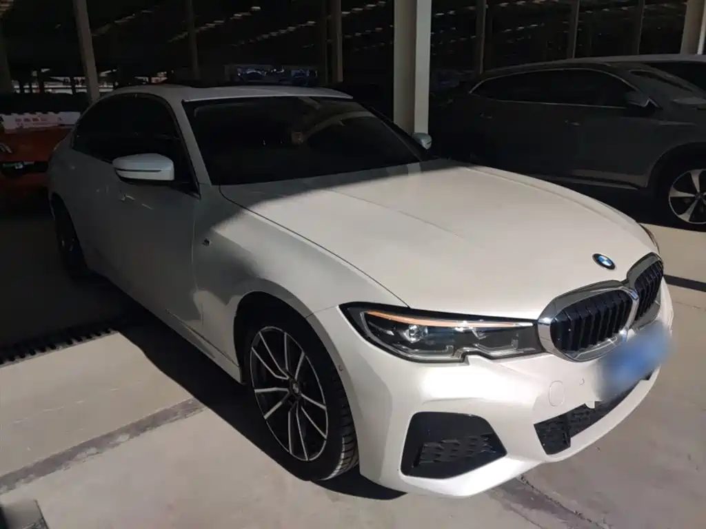 BMW 3 Series 2021 320Li M Sport Package фото 23