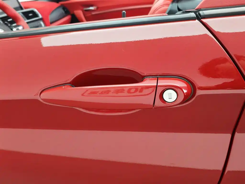 BMW 2 Series (Import) 2015 218i Convertible Coupe фото 18