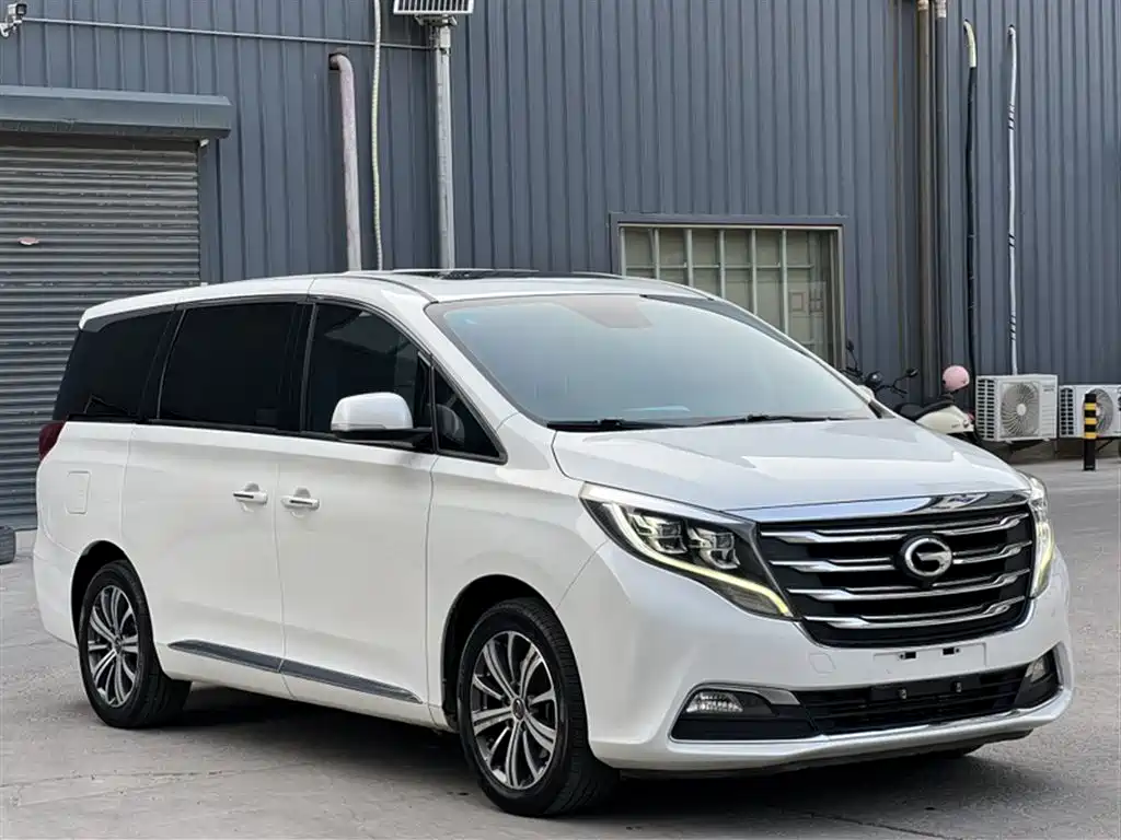 GAC Trumpchi Trumpchi M8 2018 320T Premium Edition фото 13
