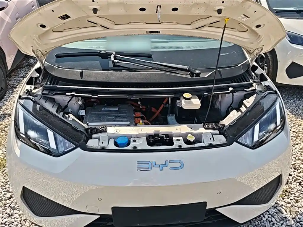 BYD Seagull 2025 Smart Driving Edition 405km Flying Edition фото 20