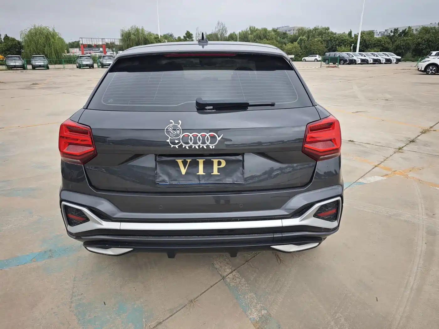 Audi Q2L 2024 2023 35TFSI Luxury Sport
